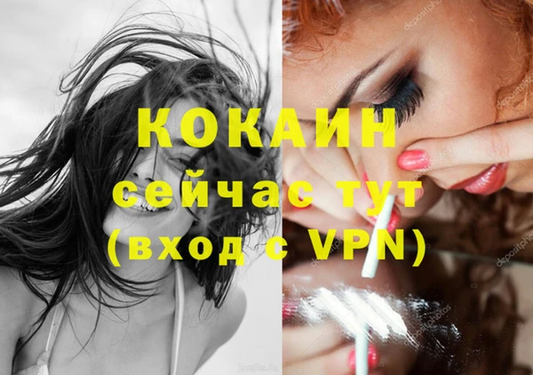 дмт Тосно