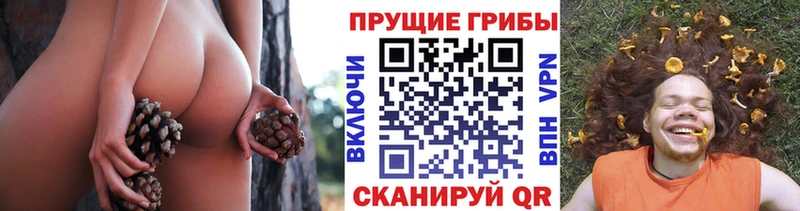 Псилоцибиновые грибы мицелий Электроугли